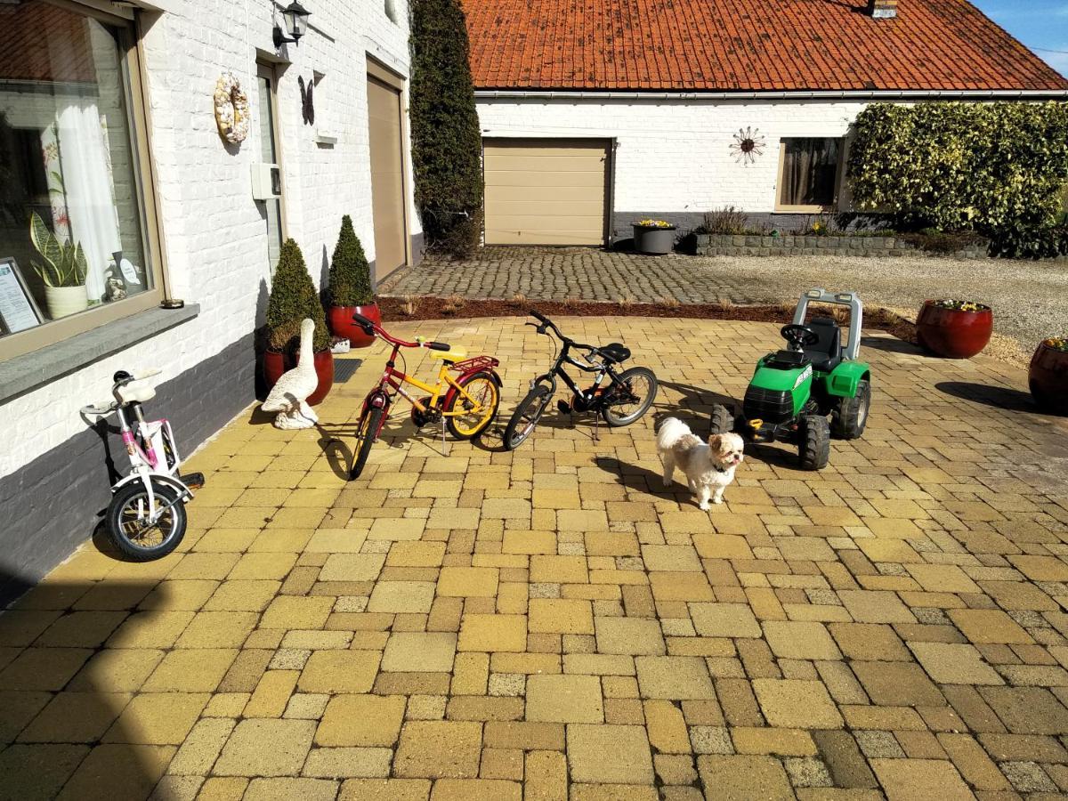 B&B Het Polderhof Jabbeke  Bagian luar foto
